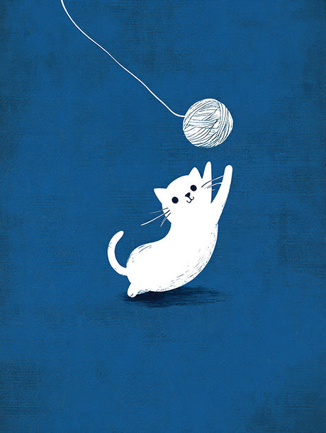 Cats and Cats