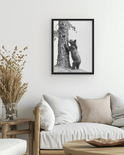 Wall art featuring a pencil illustration of a bear climbing a tree