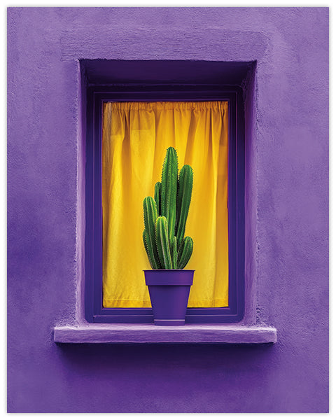 Wall art of a green Cactus in a pot in front of a yellow curtain on the ledge of a purple window frame on a purple wall