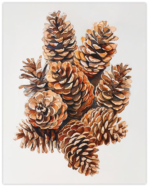 Wall art print of pinecones on a white background